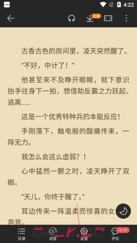 《荣耀阅读》字体设置方法-第3张-手游攻略-GASK