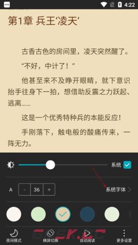 《荣耀阅读》字体设置方法-第4张-手游攻略-GASK