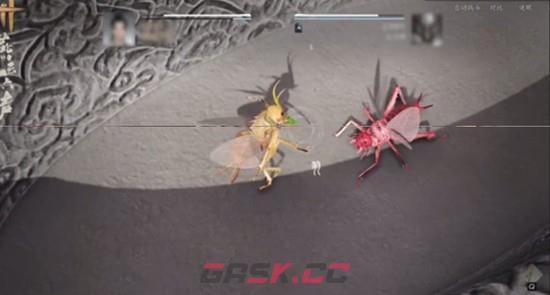 《燕云十六声》开封皇宫斗虫玩法介绍-第5张-手游攻略-GASK