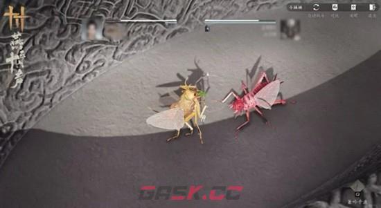 《燕云十六声》开封皇宫斗虫玩法介绍-第3张-手游攻略-GASK