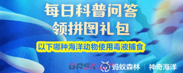 以下哪种海洋动物使用毒液捕食