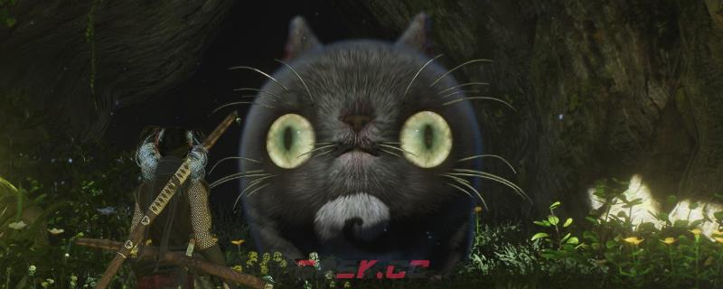 《仁王3》善擦之友成就做法介绍-第1张-单机攻略-GASK