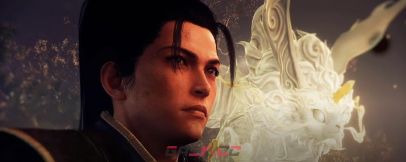 《仁王3》组合效果的真正价值成就做法介绍-第1张-单机攻略-GASK