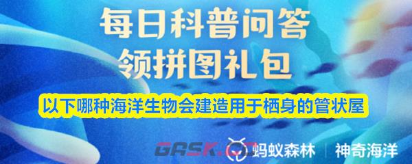 以下哪种海洋生物会建造用于栖身的管状屋-第1张-手游攻略-GASK