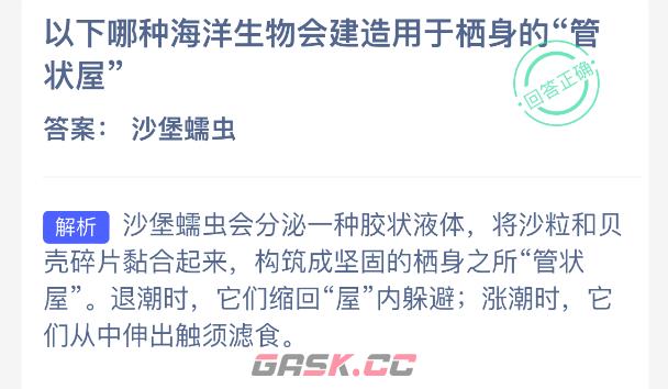 以下哪种海洋生物会建造用于栖身的管状屋-第2张-手游攻略-GASK