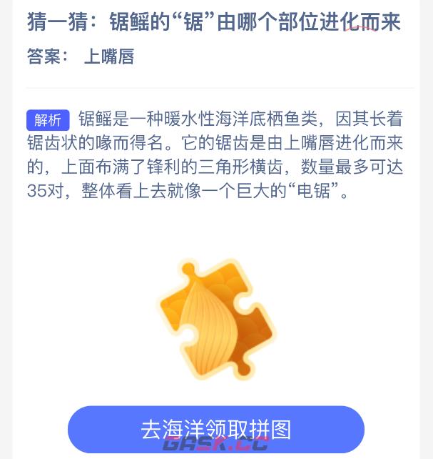 锯鳐的“锯”由哪个部位进化而来-第2张-手游攻略-GASK