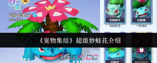 《宠物集结》超级妙蛙花介绍