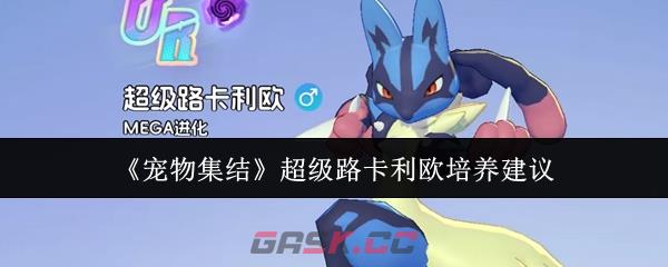 《宠物集结》超级路卡利欧培养建议