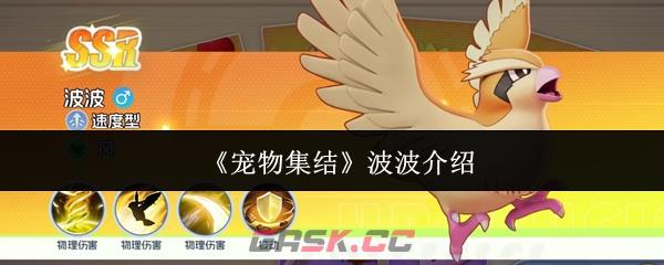 《宠物集结》波波介绍