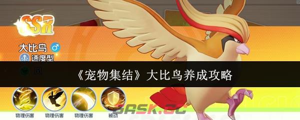 《宠物集结》大比鸟养成攻略