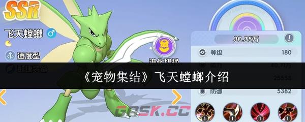 《宠物集结》飞天螳螂介绍-第1张-手游攻略-GASK