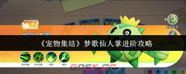 《宠物集结》梦歌仙人掌进阶攻略-第1张-手游攻略-GASK
