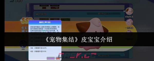 《宠物集结》皮宝宝介绍