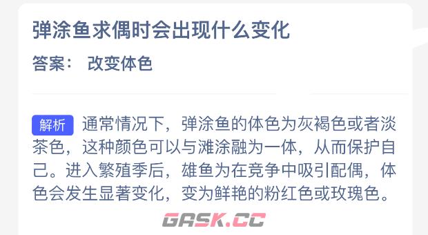 弹涂鱼求偶时会出现什么变化-第2张-手游攻略-GASK