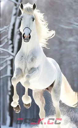 2026支付宝扫马图片大全-第15张-手游攻略-GASK