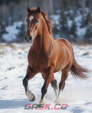 2026支付宝扫马图片大全-第9张-手游攻略-GASK