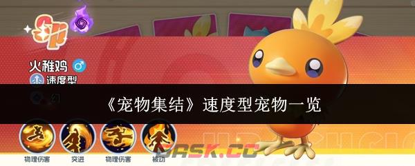 《宠物集结》速度型宠物一览