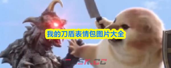 我的刀盾表情包图片大全