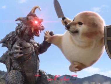 我的刀盾表情包图片大全-第5张-手游攻略-GASK