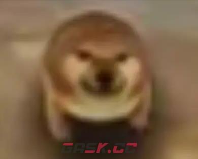 我的刀盾表情包图片大全-第6张-手游攻略-GASK