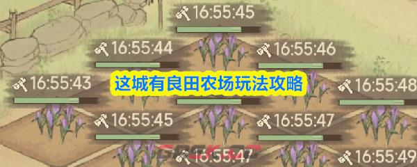 这城有良田农场玩法攻略