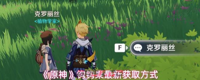 《原神》钩钩果最新获取方式-第1张-手游攻略-GASK