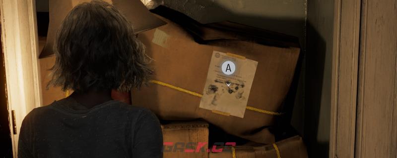 《生化危机9：安魂曲》纸箱上的便条文件位置分享-第1张-单机攻略-GASK