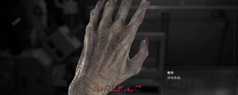 《生化危机9：安魂曲》断手使用方法及彩蛋介绍-第1张-单机攻略-GASK