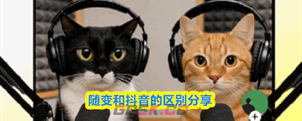 随变和抖音的区别分享-第1张-手游攻略-GASK