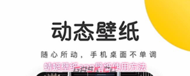蜻蜓壁纸app壁纸使用方法