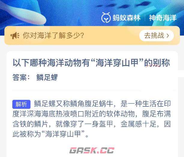以下哪种海洋动物有海洋穿山甲的别称-第2张-手游攻略-GASK