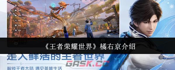 《王者荣耀世界》橘右京介绍