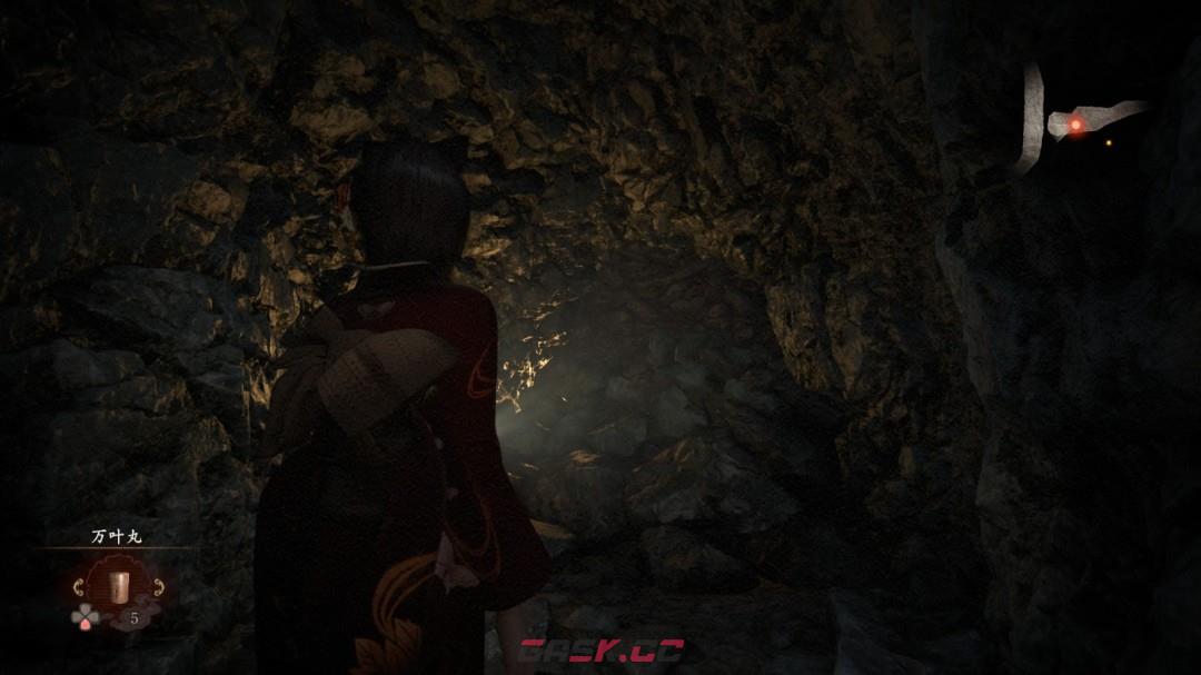 《零红蝶：重制版》楔任务指南-第5张-单机攻略-GASK