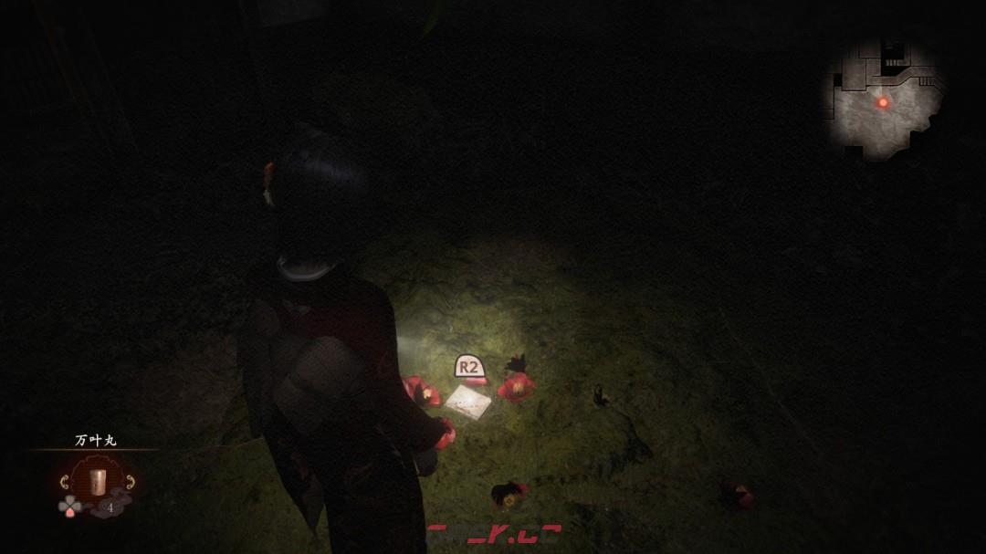 《零红蝶：重制版》黑泽八重任务指南-第3张-单机攻略-GASK