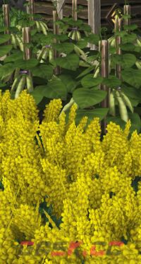 《海狸浮生记》即食食品介绍-第2张-单机攻略-GASK