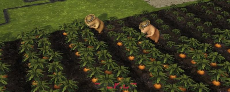 《海狸浮生记》即食食品介绍-第1张-单机攻略-GASK