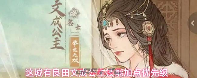 这城有良田文成公主技能加点优先级