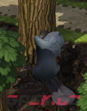 《海狸浮生记》树木介绍-第3张-单机攻略-GASK