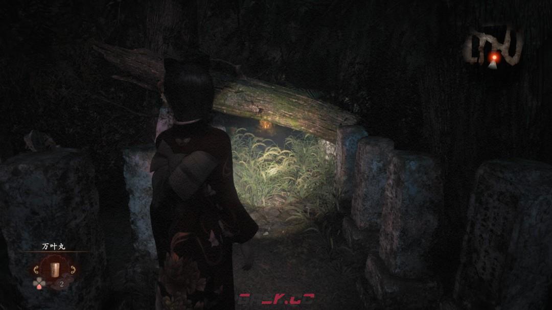 《零红蝶：重制版》桐生蓟任务指南-第5张-单机攻略-GASK