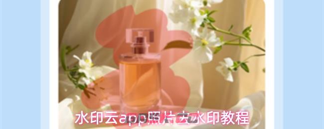 水印云app照片去水印教程