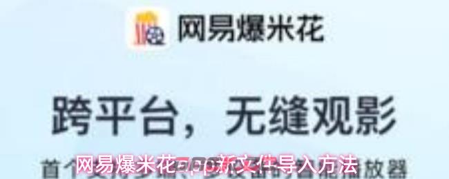 网易爆米花app新文件导入方法