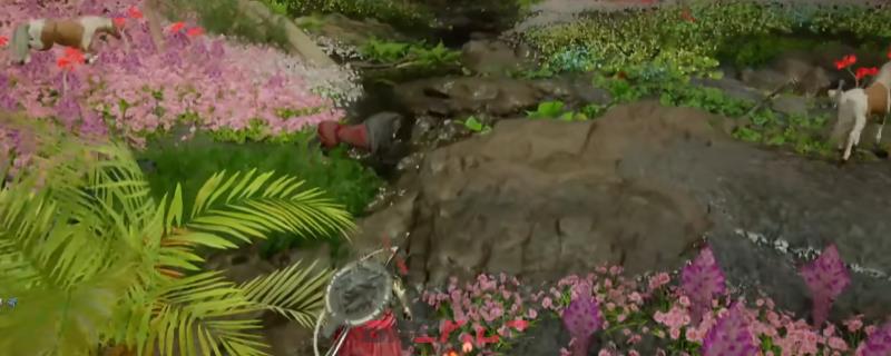 《红色沙漠》宝马卡莫拉获得方法介绍-第1张-单机攻略-GASK