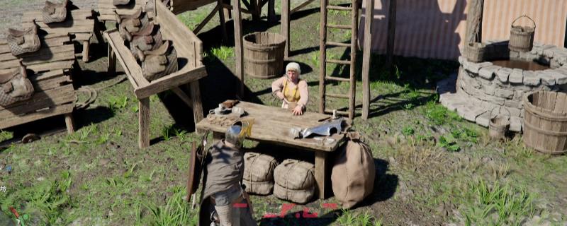 《红色沙漠》布鲁纳的请求任务攻略分享-第1张-单机攻略-GASK