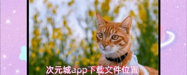 次元城app下载文件位置-第1张-手游攻略-GASK