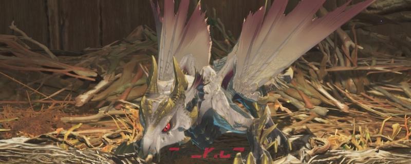 《怪物猎人物语3：命运双龙》贴合背部的鞍具成就攻略-第1张-单机攻略-GASK