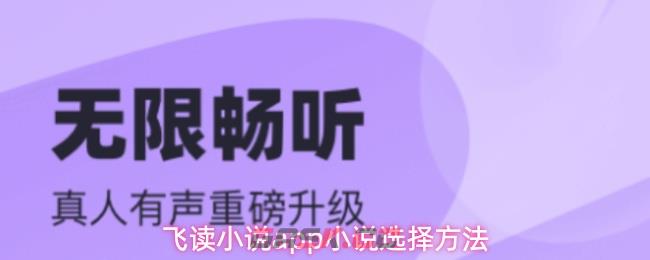 飞读小说app小说选择方法