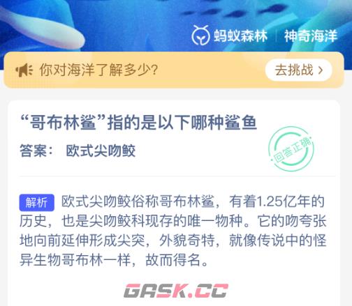 哥布林鲨指的是以下哪种鲨鱼-第2张-手游攻略-GASK