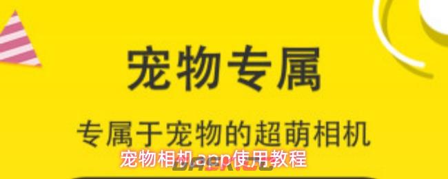 宠物相机app使用教程-第1张-手游攻略-GASK