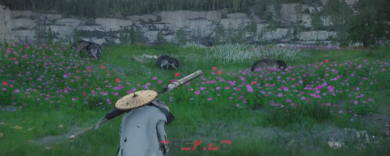 《红色沙漠》新手村获得利齿方法介绍-第1张-单机攻略-GASK