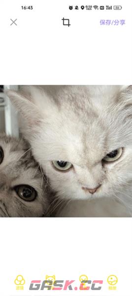 宠物相机app使用教程-第5张-手游攻略-GASK